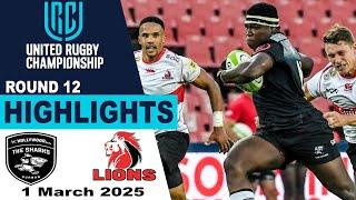 Highlights | Emirates Lions v Hollywoodbets Sharks | United Rugby Championship 2024/25