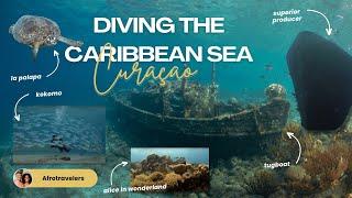 Diving The Caribbean Sea | Curacao