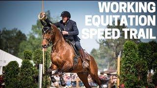 Working Equitation - DER Speed Trail  | Thomas Türmer & Orlando | Pferd International München