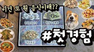 소배필 드셔 보신분?? 아직도 모르는 음식이 왜 이렇게 많은지 아이 씐나~!!