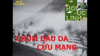 F 968(P1) CHÙM DÂU DA RỪNG CỨU MẠNG / hồi ức/ vũ công chiến/ kccm