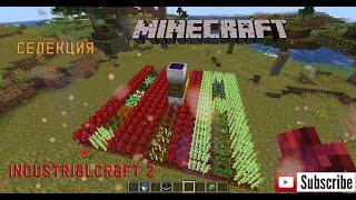 ГАЙД ПО INDUSTRIALCRAFT 2 - АВТОСАДОВНИК И СЕЛЕКЦИЯ - MINECRAFT 1.19.2