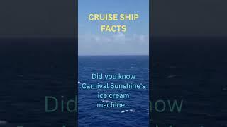 CRUISE SHIP FACTS #shorts