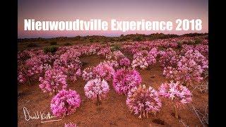 Landscape Photography - The Nieuwoudtville Experience, Quiver trees and March Flowers