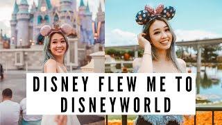 DISNEY FLEW ME TO DISNEY WORLD: Disney World as an Influencer