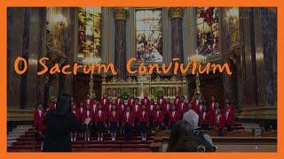 O Sacrum Convivium - World Vision Korea Children's Choir 월드비전 합창단