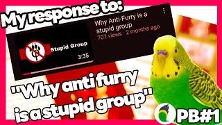 My response to: "why anti furry is a stupid group" |PB 1