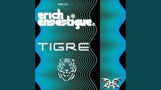 Tigre