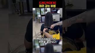 드레드락 머리를 방치하면 벌어지는 끔찍한 변화