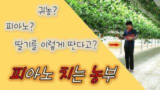 귀농한 딸기 청년농부의 채널소개, 유튜브에 첫 영상을 올리다! 내 이름은 피치농(피아노치는농부)