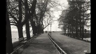 Экскурсия на Елагин Oстров / Excursion to Yelagin Island : 1904-1914