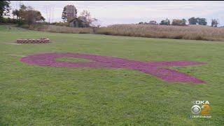 Pink Breast Cancer Ribbon Attracting Attention In Butler County