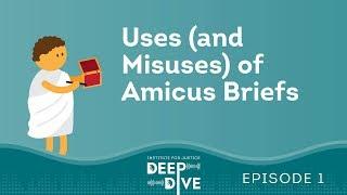 Uses (and Misuses) of Amicus Briefs