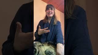 Muse Alchemy Testimonial | Elana-Karen