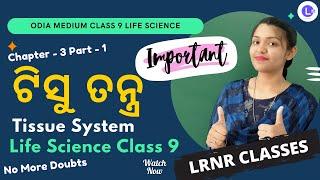 Tissue Tantra Class 9 Life Science Chapter 3 Part-1 | Tissue System ଟିସୁ ତନ୍ତ୍ର | LRNR Classes