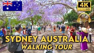 WALKING AROUND SYDNEY AUSTRALIA | Milsons Point to Crows Nest | 4K UHD Video Walk | Binaural Audio