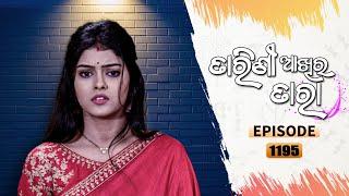 Tarini Akhira Tara | Full Ep 1195 | 19th Jan 2022 | Odia Serial – TarangTV