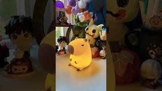 Unboxing a Capybara Squishy Night Light #capybara #squishy #short #shorts