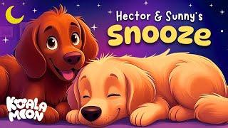 Hector & Sunny's Snooze  Calming Bedtime Stories For Kids  2 HOURS No Ads  Koala Moon