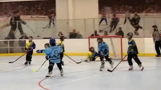 Rose Bowl Hockey 2022 Youth Teams 10u & 12u goal highlights and medal ceremony. Extended footage.