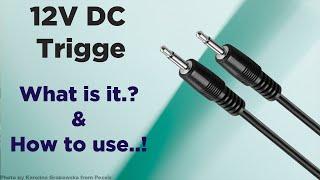 Trigger 12v DC | What is it.? & How to use...! Explained in Telugu