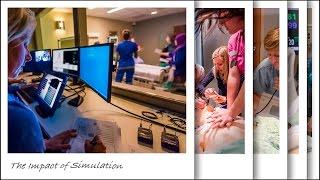 The Impact of Simulation: In Situs