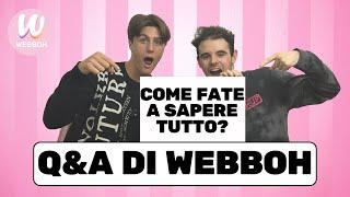 PERCHÉ WEBBOH SI CHIAMA COSÌ? LITIGATE TRA VOI? RISPONDIAMO ALLE VOSTRE DOMANDE!