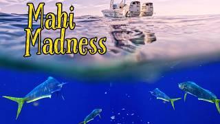 Turn OATS into MAHI | MADNESS Fishing Florida Keys {Catch,Clean,Cook}