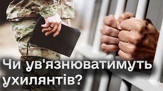  Нардепи "рознесли" УРЯДОВИЙ законопроєкт про штрафи та ув'язнення ухилянтів!