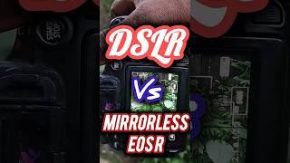 Dslr Vs Mirrorless  #fyp #shorts #camera #canon #photography #creative  #youtubeshorts #viralshorts