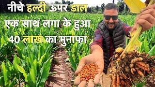 Intercropping Farming model Turmeric and Pulses