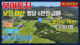 부여토지(임야) 보령호 7km 인근 산세 좋은 낮은 야산 임야 개발 가능한 준보전산지 약 4,501평 평당 6만원 급매