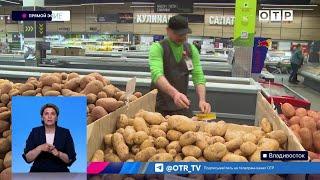 Картофельный кризис: почему в России резко подскочили цены и где пропал урожай