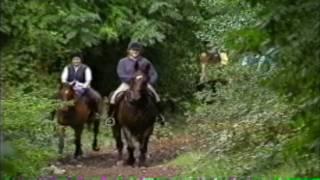 Wicklow, The Garden of Ireland - 1997 promotional movie