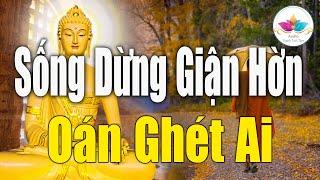 Sống Đừng Tham Sân Si - Nghe Lời Phật Dạy Để Thoát Khỏi Phiền Não Và Khổ Đau - Audio Thanh Tịnh Tâm