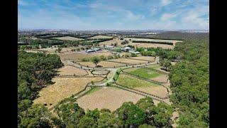 For Sale | Breeders Farm - One of Australia's Leading Thoroughbred Studs, Macedon Ranges VIC