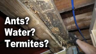 How to Replace Rotted Sill Plate with Header Over Basement Bulkhead Opening