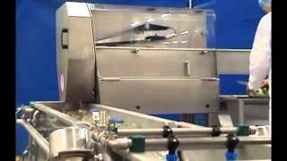 Eillert GWT - Salad Processing Line