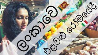 ලංකාවෙ එළවළු රෝමයේදී asian vegetable market in rome