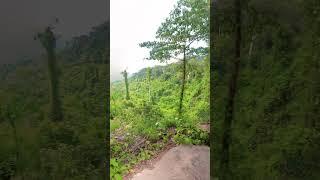 В джунглях Камбоджи только вдвоём #travel