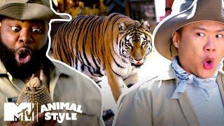 An Insane Armadillo & A “Sexy” Tiger | MTV's Animal Style