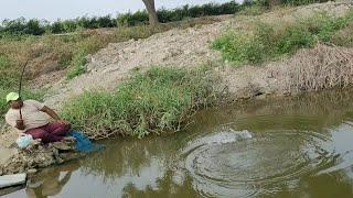 Best Float Fishing Technique & Catching 2 type fish(Tilapia & baam)in Pond|Small Singal hook fishing