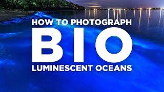 How to Photograph Bioluminescent Algae