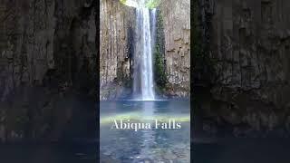 Abiqua Falls, OR #oregon #pnw #waterfall #usa #basalt #moss #hike #travel #explore #nature