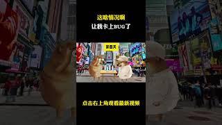 这啥情况啊？让我卡上BUG了 #cheems小剧场 #cheems #搞笑