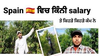 Spain ਵਿਚ ਕਿੰਨੀ salary ਤੇ ਕਿਹੜੇ ਕਿਹੜੇ km ne | Spain  visa | agriculture work in spain 