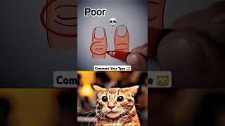 BOMBASTIC SIGN... #cat #memes #dance || 4K SHORTS || OHIO CAT BOMBASTIC
