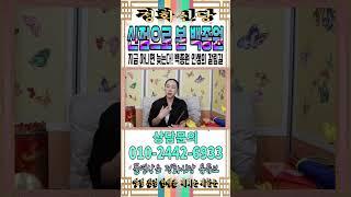 신점으로 본 백종원의 미래는? 백종원 인생의 갈림길! 나락? or 부활? [강남유명한점집] [정화신당] [영점 신점] #백종원 #미래 #더본코리아