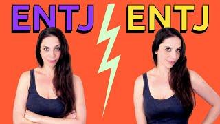 ENTJ's Are Actually 2 Different Types