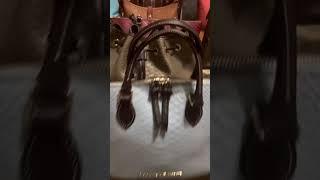 My Dooney & Bourke Lizard/Crocodile/Snakeskin Handbag Collection Part 1 |2023|